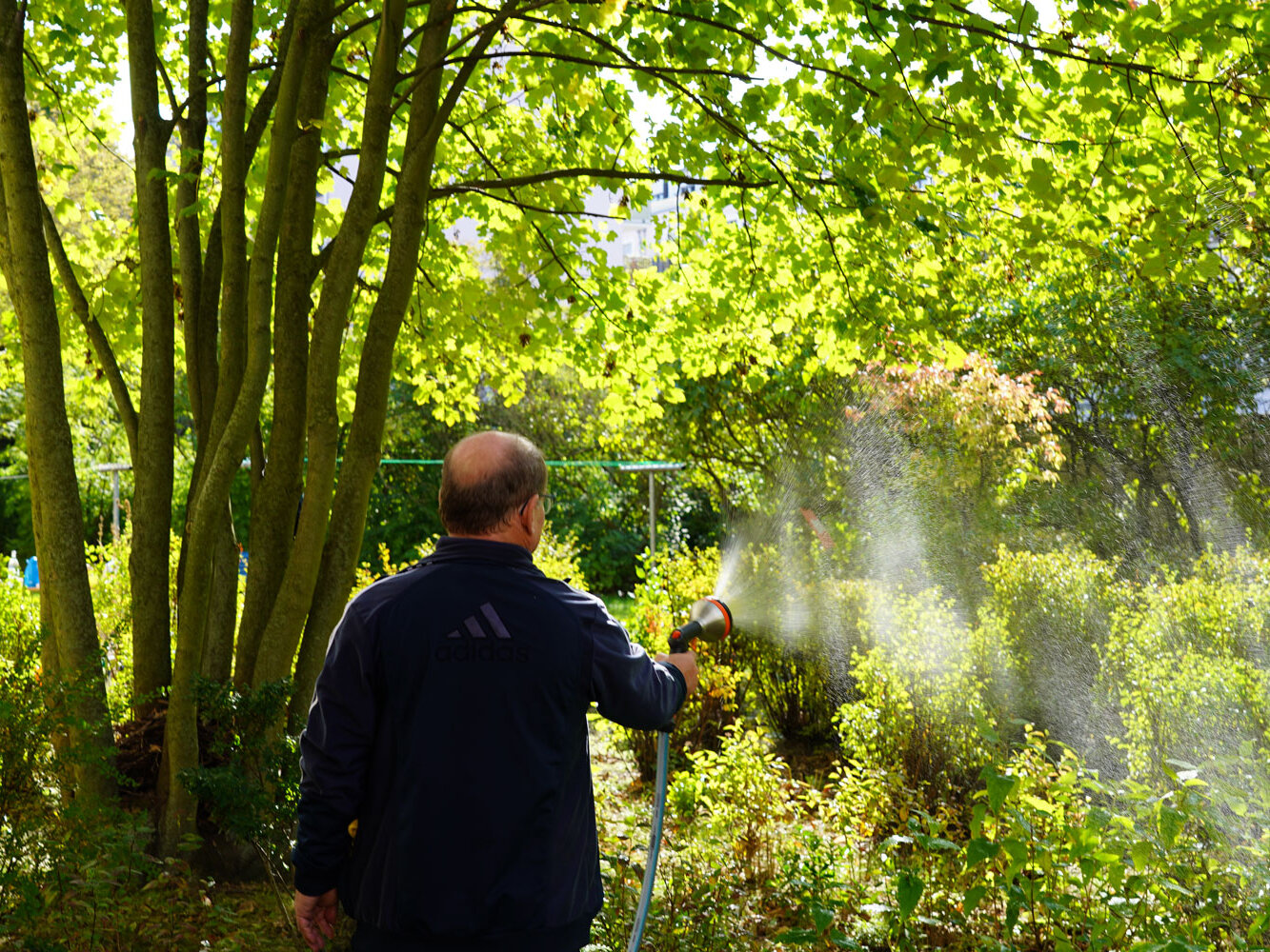 Ein Mann bewässert mit einem Gartenschlauch eine grüne, dicht bepflanzte Anlage. Sonnenlicht fällt durch die Bäume und erzeugt helle Reflexe.
