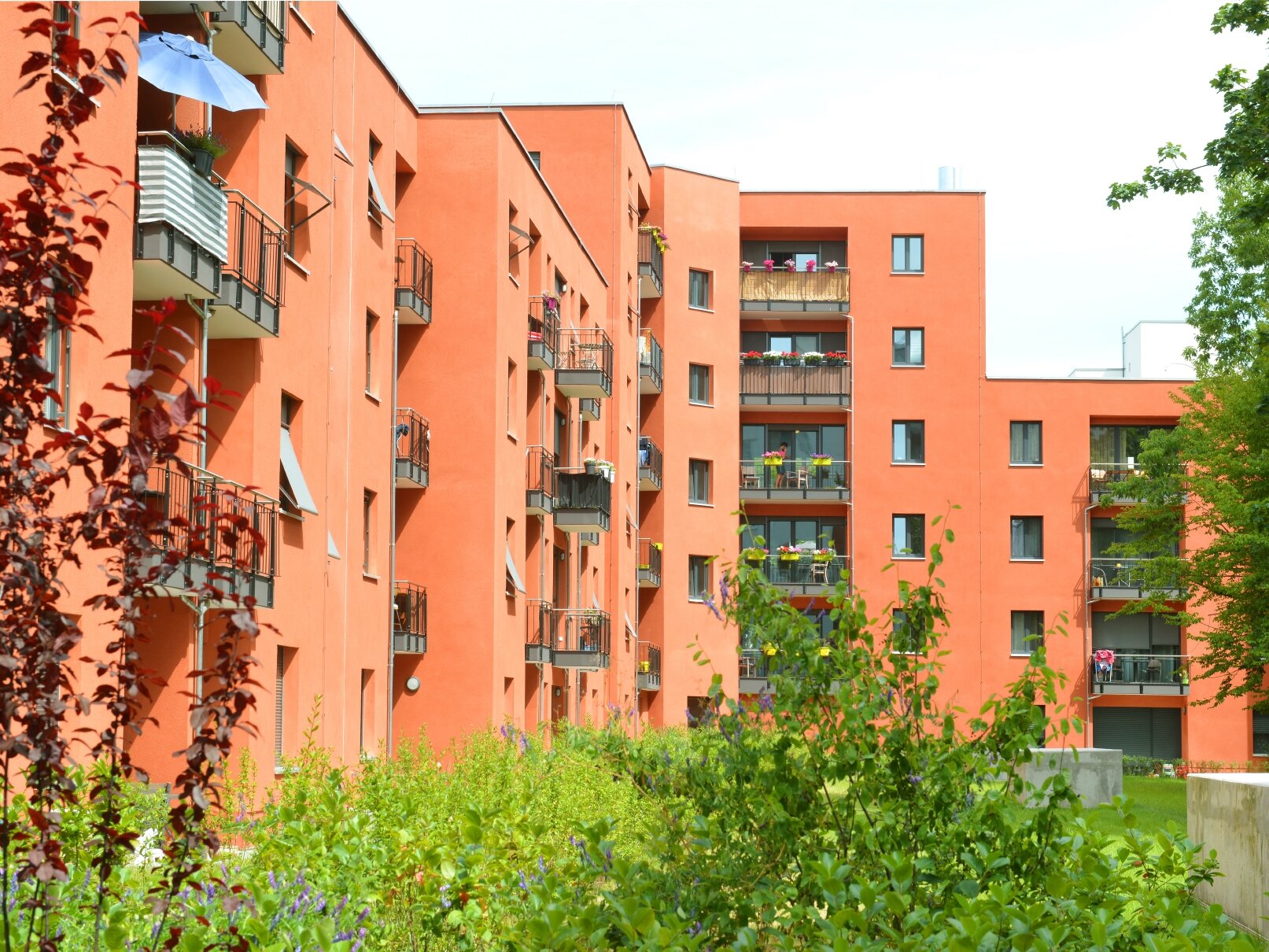 Hofansicht degewo-Neubau Agnes-Straub-Weg 2a mit jungen Bäumen und Beeten im Vordergrund.