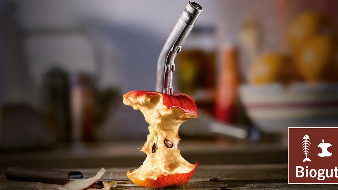 Ein abgegessener Rest eines Apfels