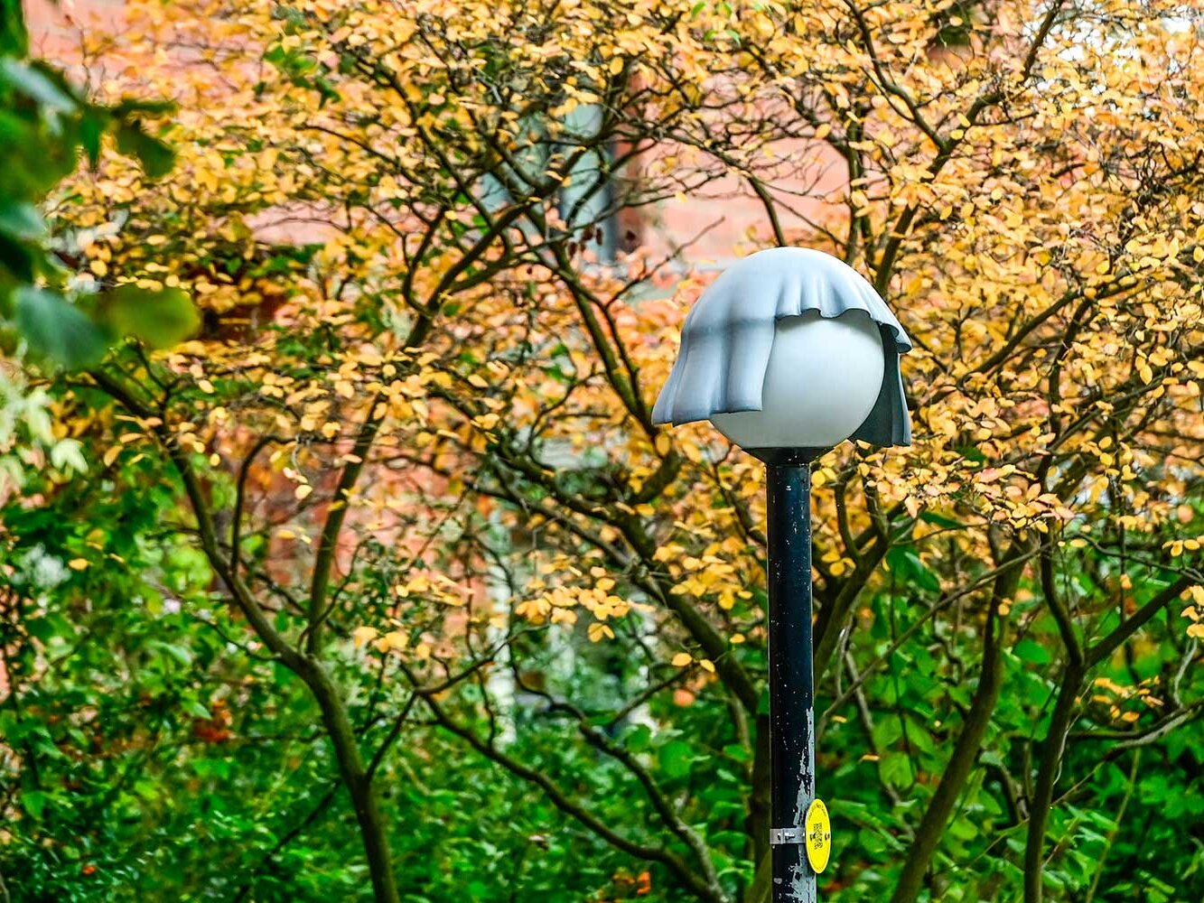 Eine runde Außenleuchte im Park trägt eine graue Mütze als kreative Verkleidung. Dahinter steht ein Baum mit gelb gefärbten Herbstblättern.