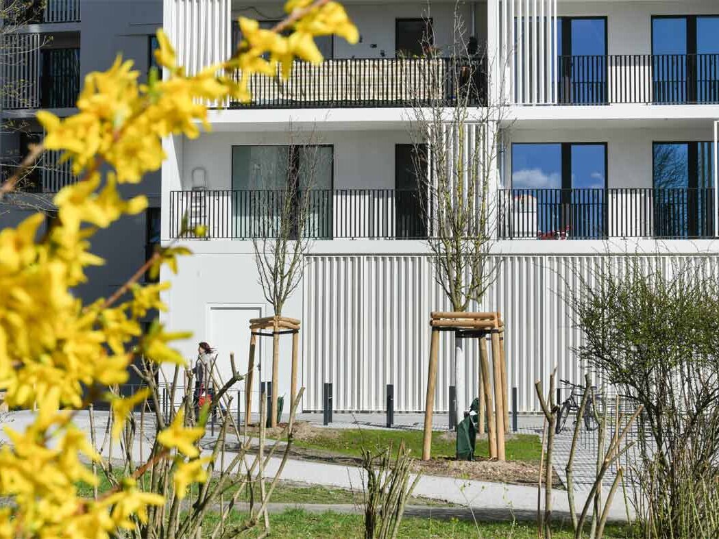 Außenansicht degewo-neubau Friedrich-Kayßler-Weg 1 mit blühenden Zweigen links sowie Grünflächen und Büschen im Vordergrund..