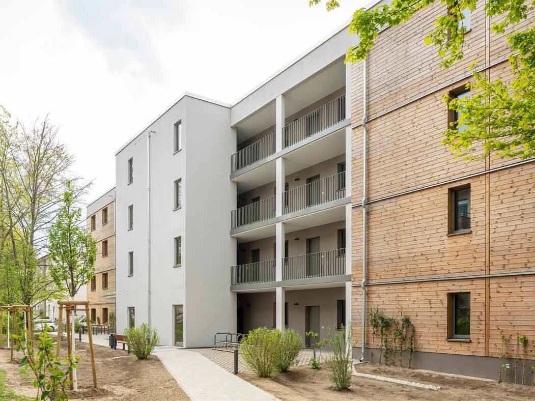 Außenansicht degewo-Neubau Beyrodtstraße 52: Hofseite mit Neubepflanzung und Weg im Vordergrund.