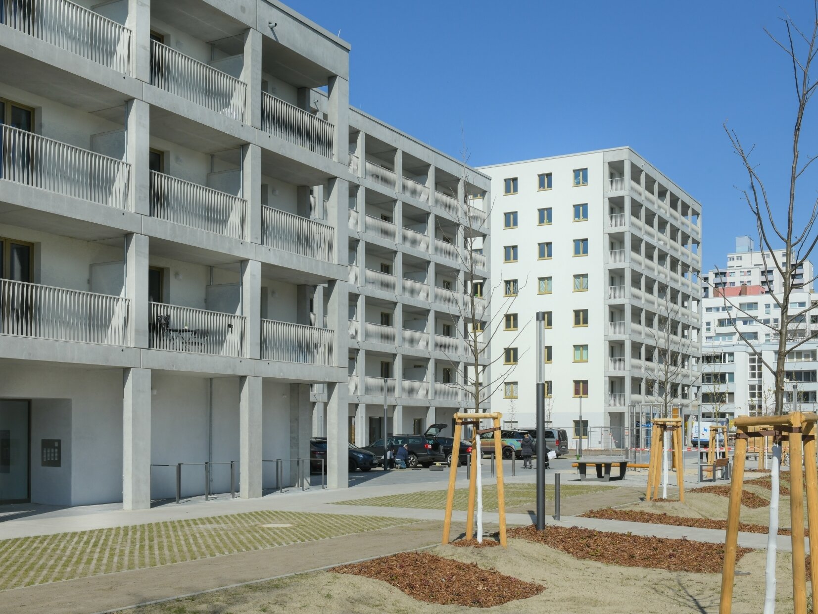 Außenansicht degewo-Neubau Theodor-Loos-Weg 31 bis 35 mit Grünflächen und neu gepflanzten Bäumen im Vordergrund.
