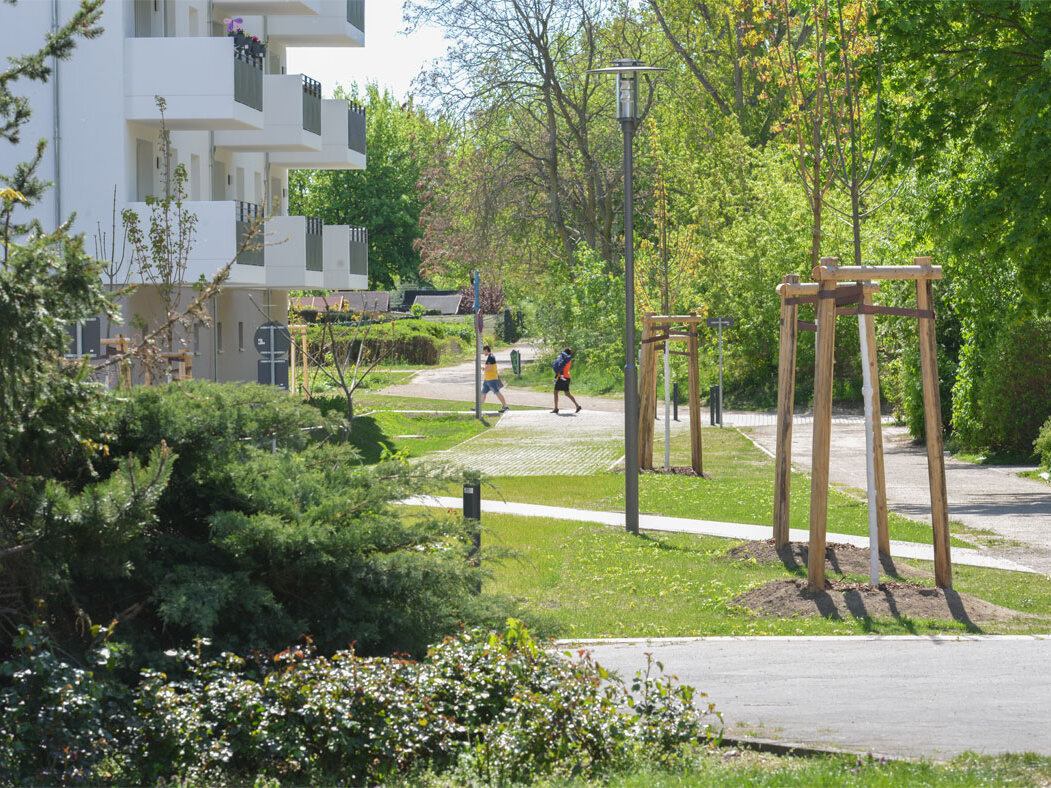 Außenansicht degewo-Neubau Eugen-Roth-Weg 4 bis 10 mit Balkonen: Büsche und neu gepflanzte Bäume im Vordergrund, Baumreihe rechts und im Hintergrund.