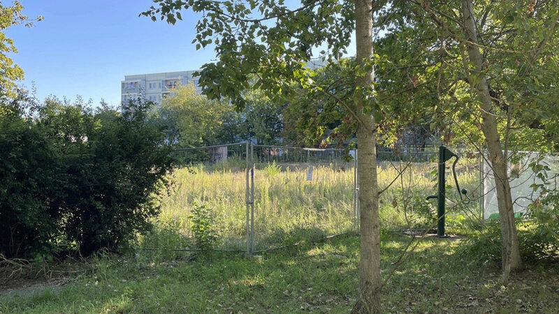 Begrünte Freifläche mit Bäumen und Sträuchern, dahinter ein provisorisch eingezäuntes Grundstück mit hohem Gras. Im Hintergrund ist ein Wohngebäude zu sehen, die Szene wirkt ruhig und naturnah.