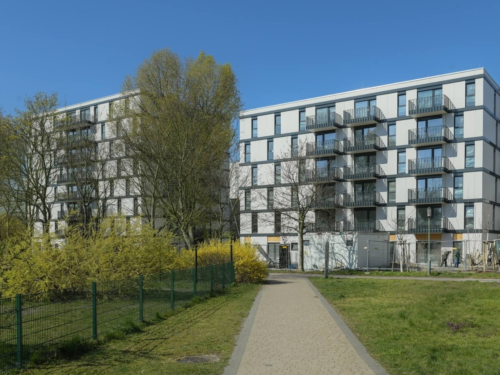 Außenansicht degewo-Neubau Ludwig-Renn-Straße 56 bis 64 mit Bäumen, Rasenflächen und Weg im Vordergrund.