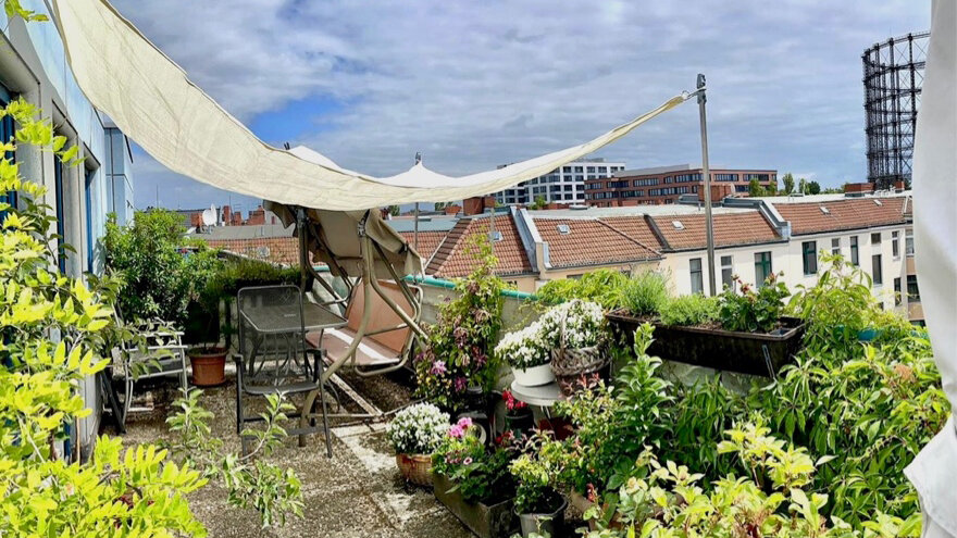 Blick auf eine üppig bepflanzte Dachterrasse mit Sonnensegel, Gartenmöbeln und zahlreichen Blumentöpfen. Im Hintergrund sind Dächer der Nachbarhäuser und das Gasometer Schöneberg zu sehen.