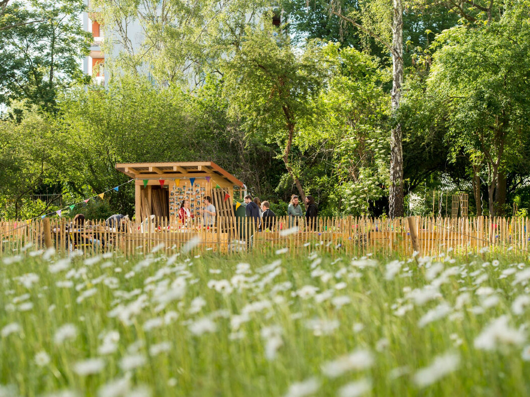Zu sehen ist eine Blühwiese. Im Hintergrund steht eine Hütte aus Holz, umgeben von einem Holzzaun.