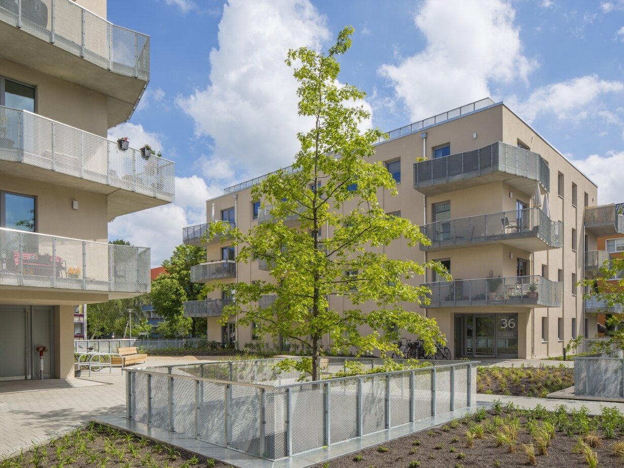 Außenansicht degewo-Neubau Karl-Pokern-Straße 36 mit umzäuntem Baum, Beeten und Wegen im Vordergrund.