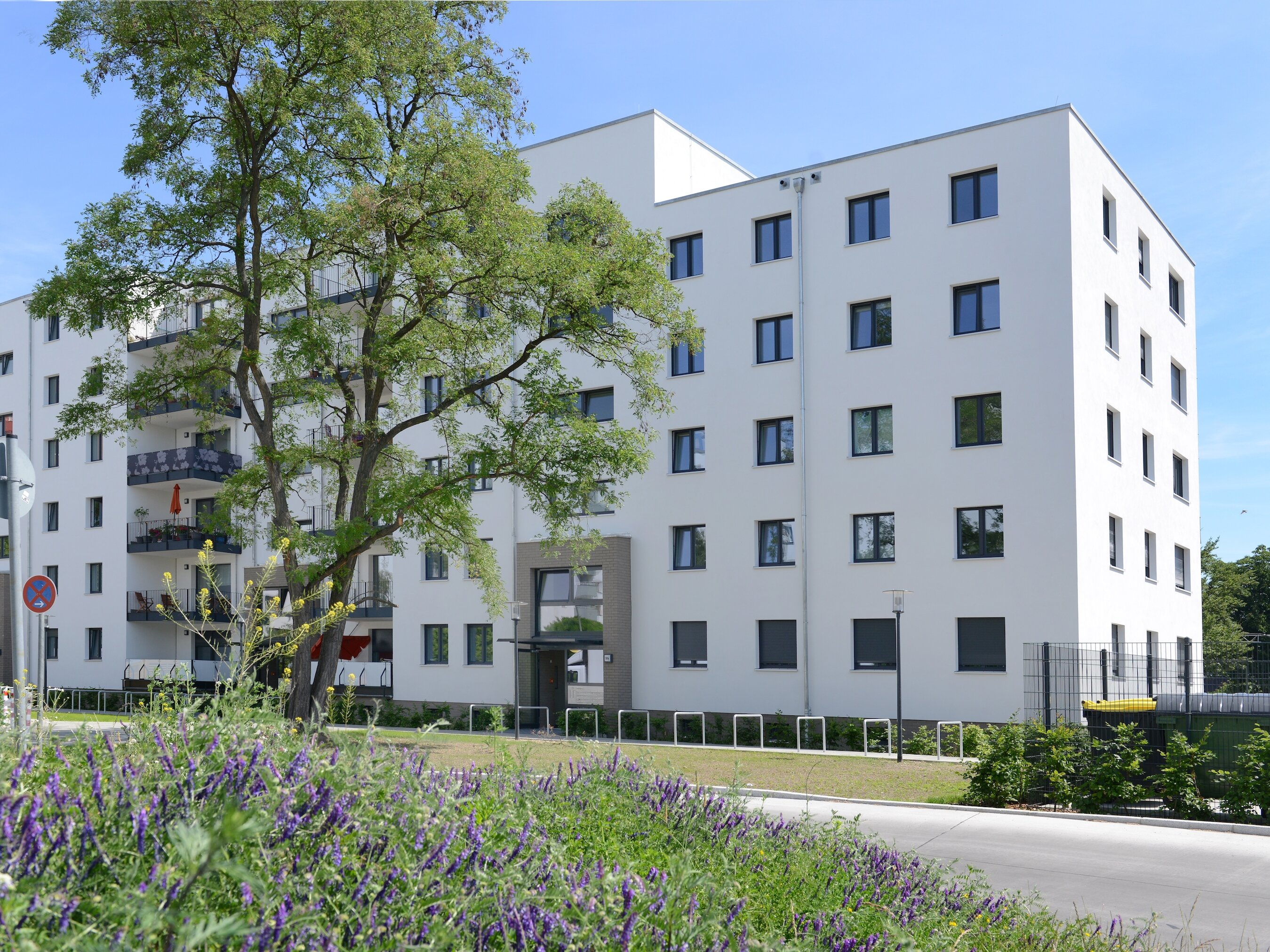 Außenansicht degewo-Neubau Waldsassener Straße 51 mit blühenden Wildpflanzen und rechts Straße im Vordergrund.