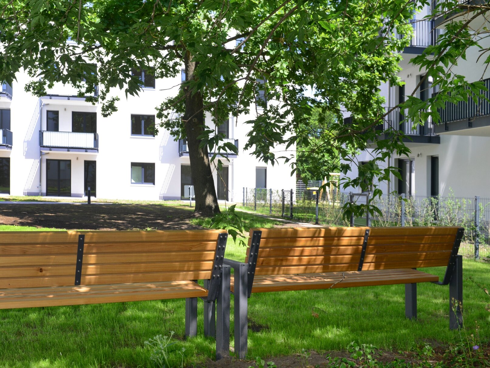 Außenansicht degewo-Neubau Karl-Frank-Straße 33 und 35 mit zwei Sitzbänken auf Rasenfläche mit großem Baum im Vordergrund.