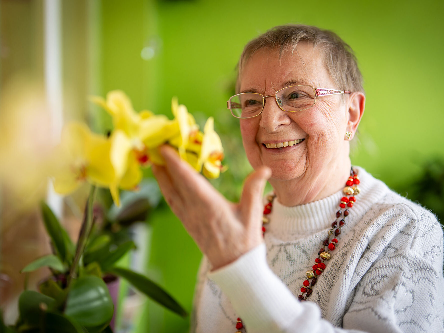 Eine ältere Frau lächelt und betrachtet gelbe Orchideen vor grüner Wand, ihre Hand leicht ausgestreckt zu den Blüten
