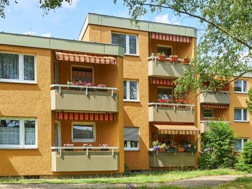 Außenaufnahme einer sanierten Wohnanlage mit gelb-orangefarbenen Fassaden und begrünten Außenbereichen. Mehrere Balkone sind bepflanzt.