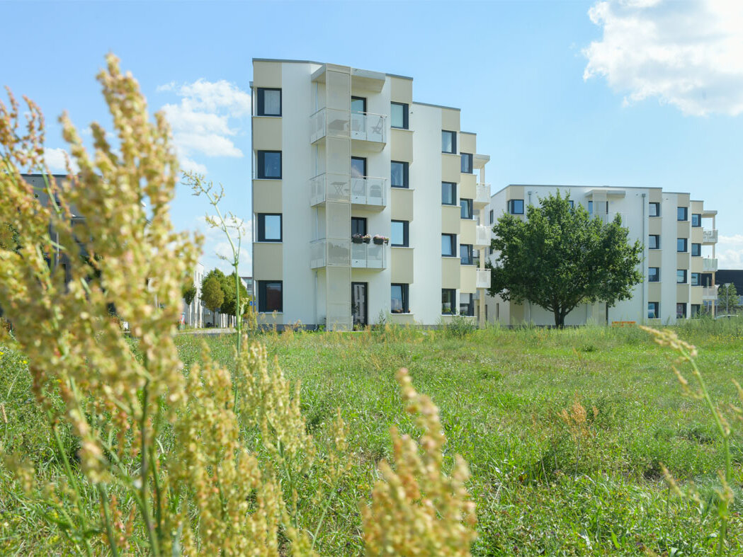 Außenansicht degewo-Neubau Wilhelm-Hoff-Straße 24 und 26 mit Grünfläche und Gräsern im Vordergrund.