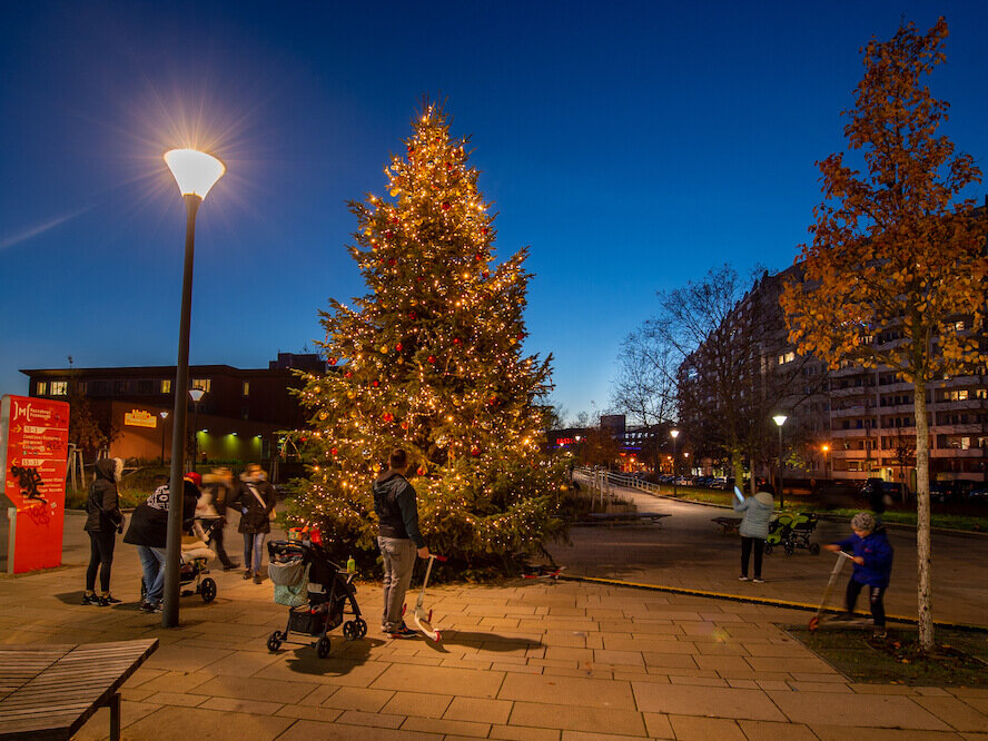 Weihnachtlich geschmückte Marzahner Promenaden mit großem Weihnachtsbaum