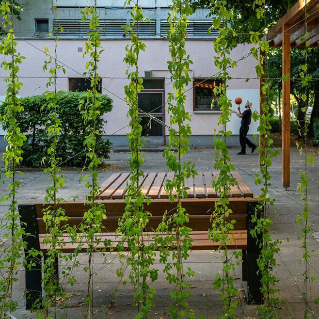 Pergola im Innenhof eines Gebäudes. Ein Mann spielt Basketball im Hintergrund.