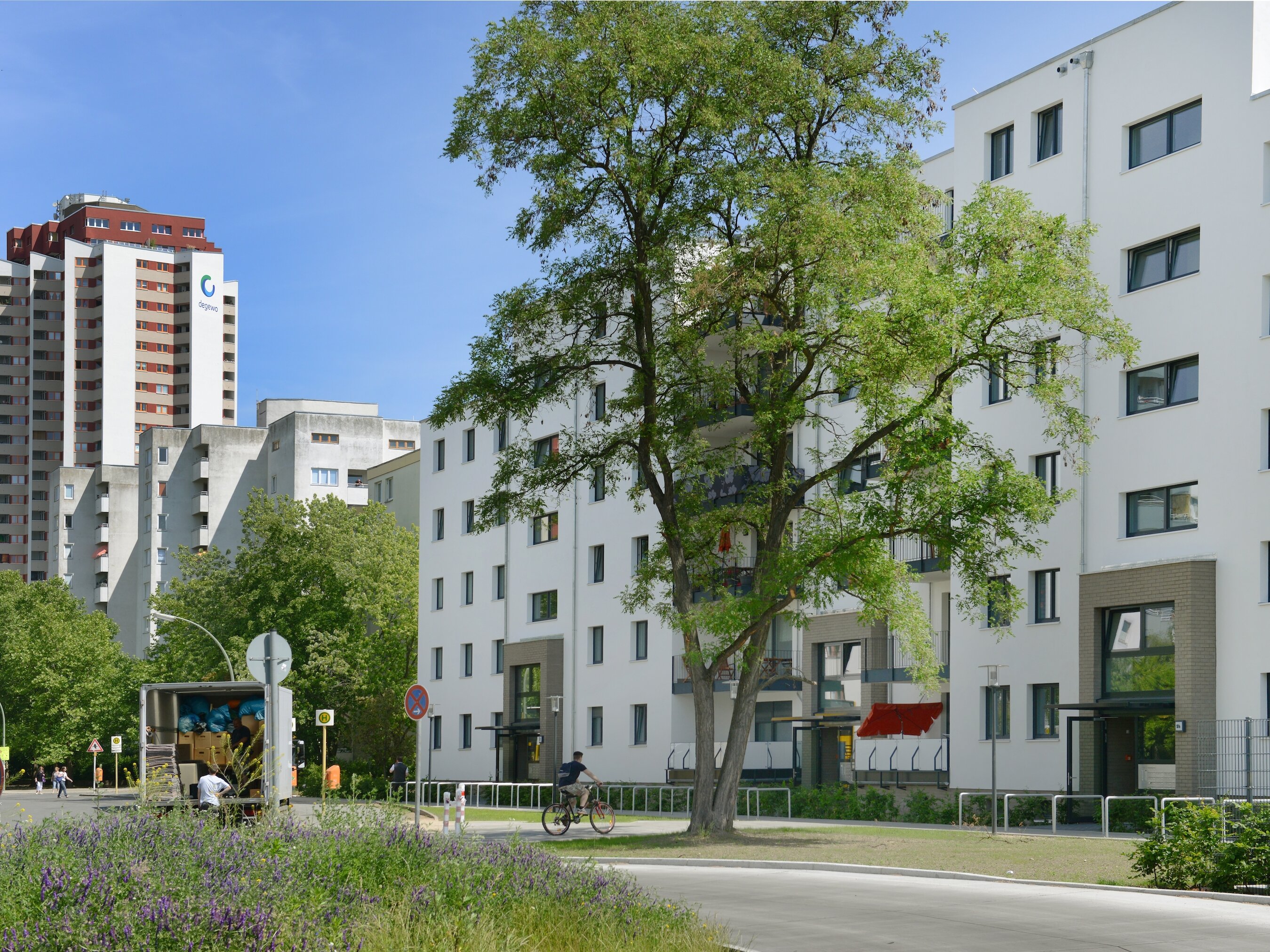 Straßenansicht degewo-Neubau Waldsassener Straße 51 mit blühenden Wildpflanzen links im Vordergrund.