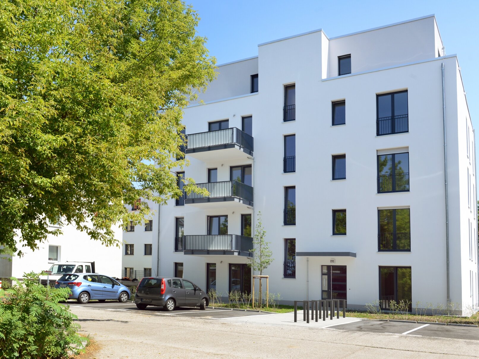 Außenansicht degewo-Neubau Klutstraße 22c mit Baum und Hecke links sowie Straße im Vordergrund.