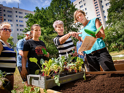 4 Frauen stehen um eine Holzkiste herum und schauen sich gemeinsam eine Gebrauchsanweisung an.