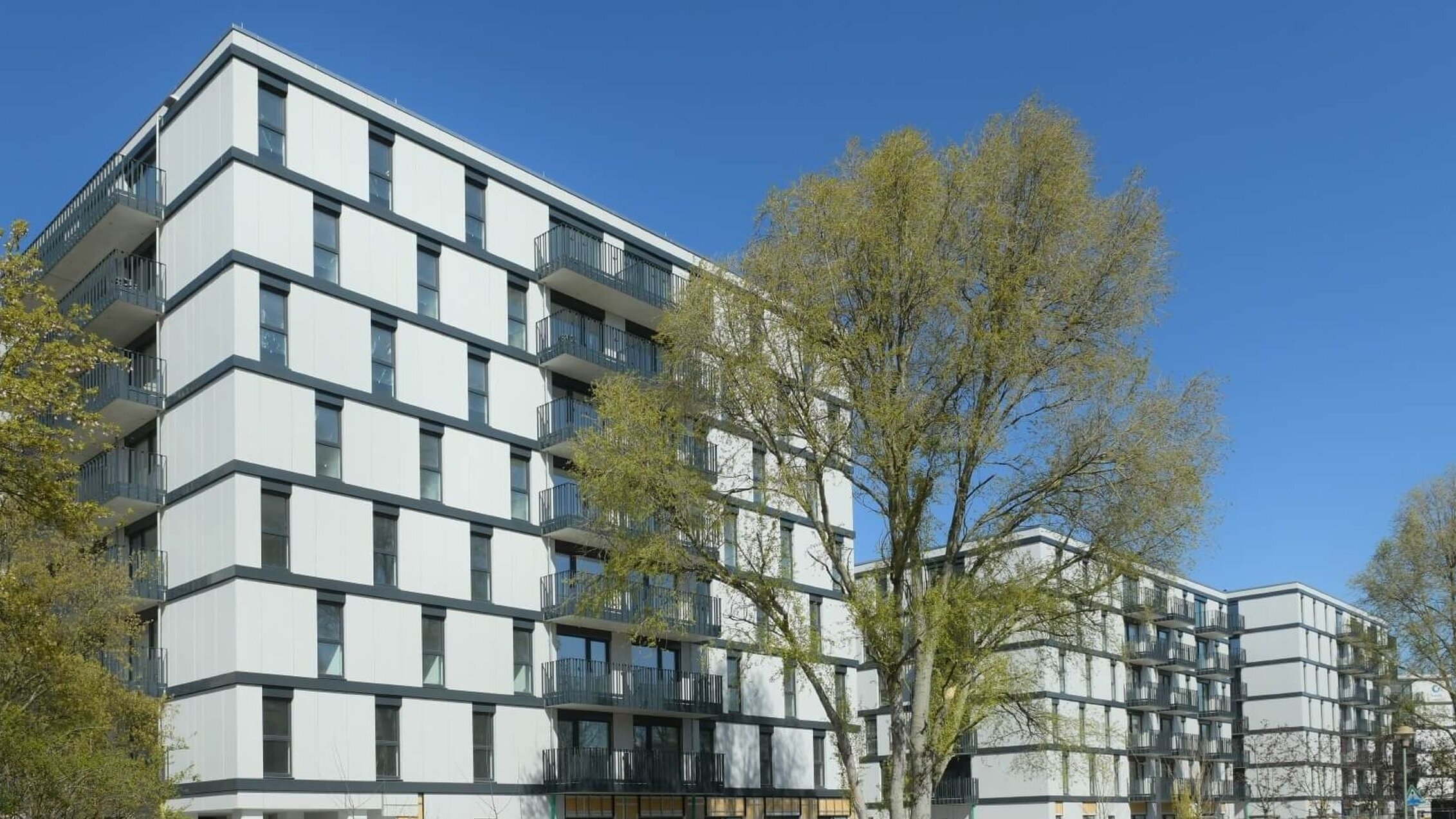 Außenansicht degewo-Neubau Ludwig-Renn-Straße 56 bis 64 mit Bäumen, Grünflächen und Wegen im Vordergrund.