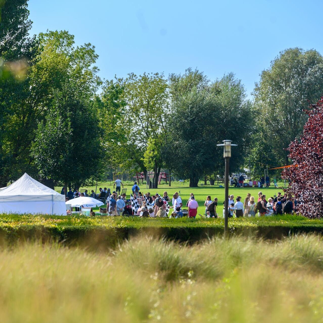 Aufnahme in den Gärten der Welt. Zu sehen sind hohe Gräser, Bäume im Hintergrund, ebenso wie Zelte und Menschen, die etwas feiern.