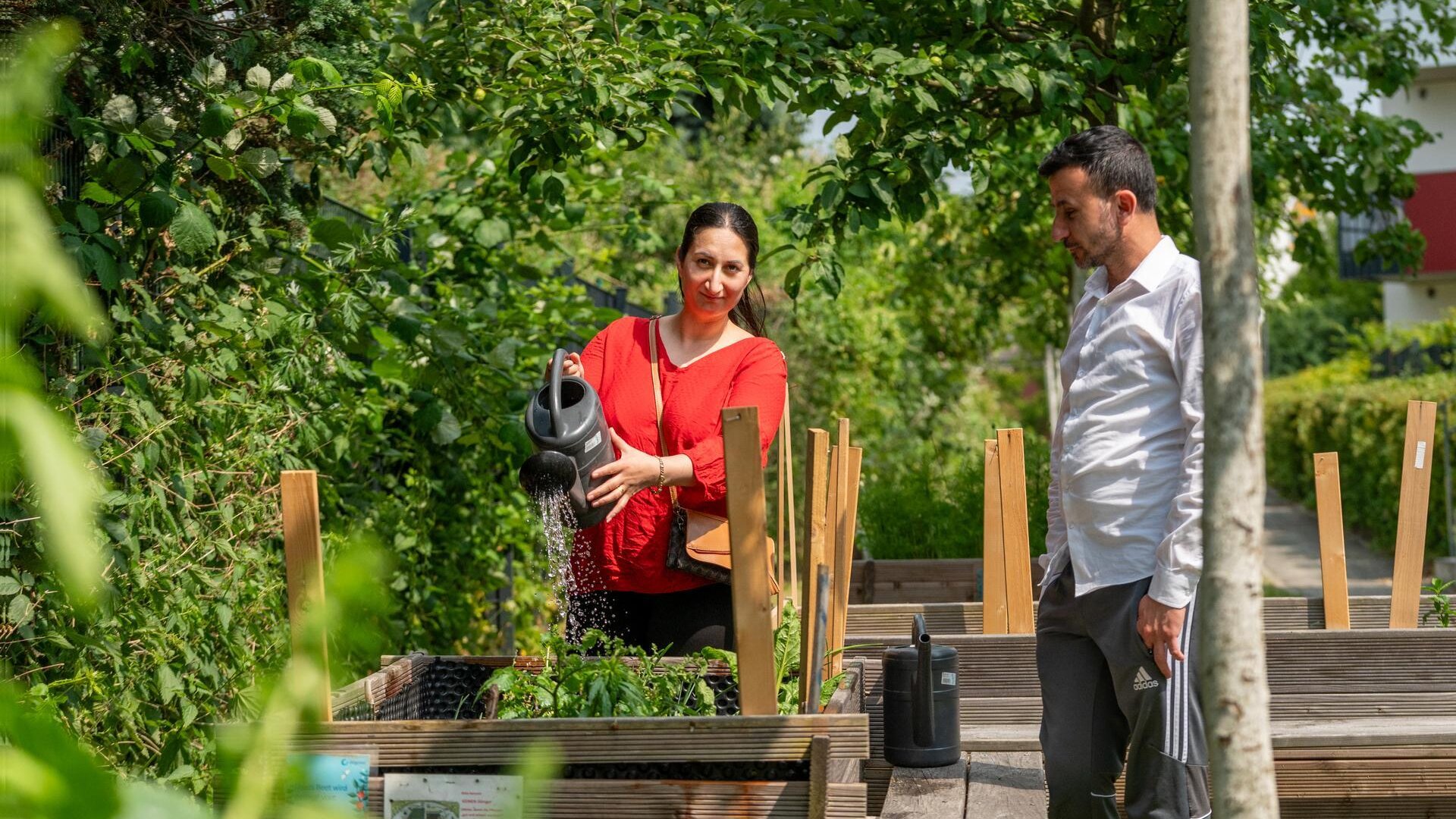 Eine Frau steht mit einer Gießkanne hinter einem Hochbeet und gießt die pflanzen. Neben ihr ein Mann, der dabei zuschaut. Im Hintergrund weitere Beete und Bäume.