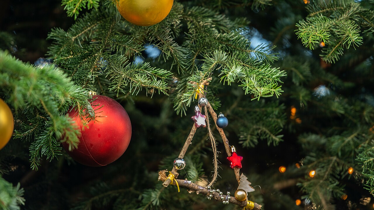 Weihnachtsbaum auf der Marzahner Promenade