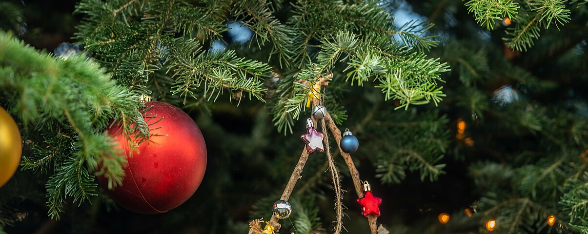 Weihnachtsbaum auf der Marzahner Promenade