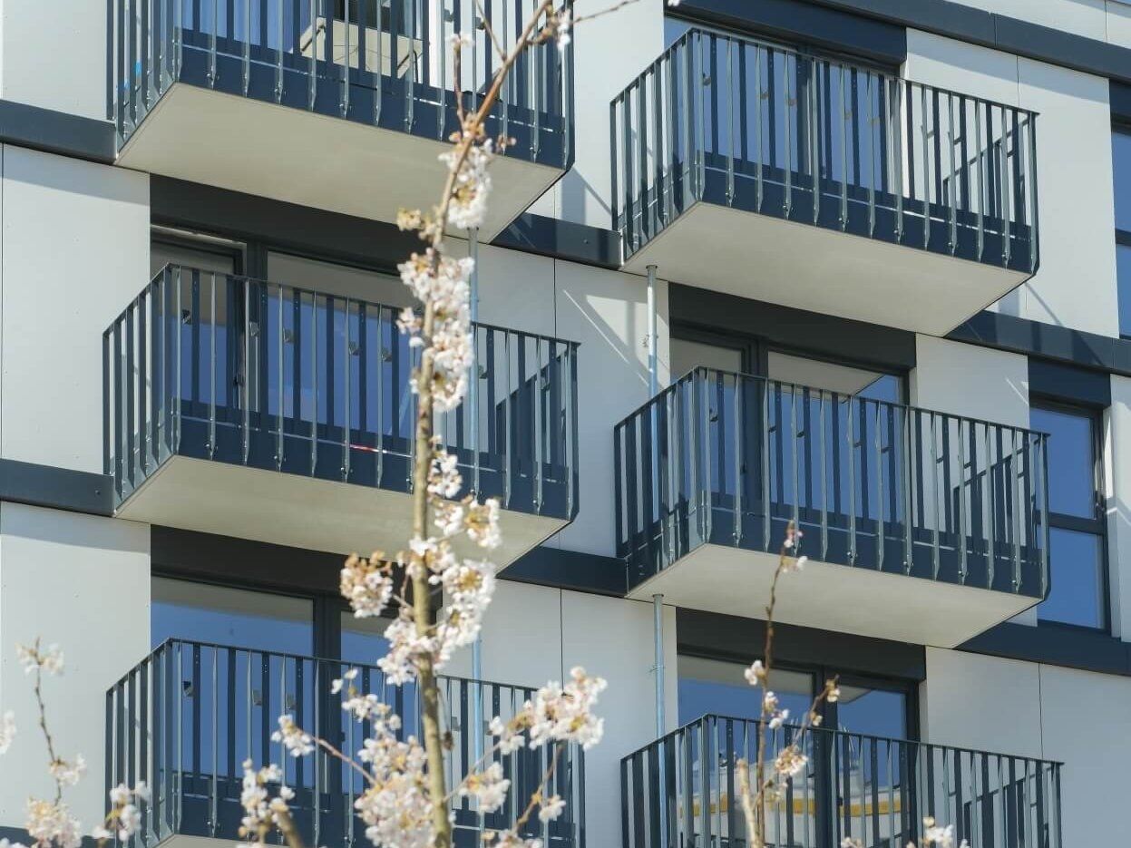 Außenansicht Fassade mit Balkonen degewo-Neubau Ludwig-Renn-Straße 56 bis 64 mit blühenden Zweigen im Vordergrund.
