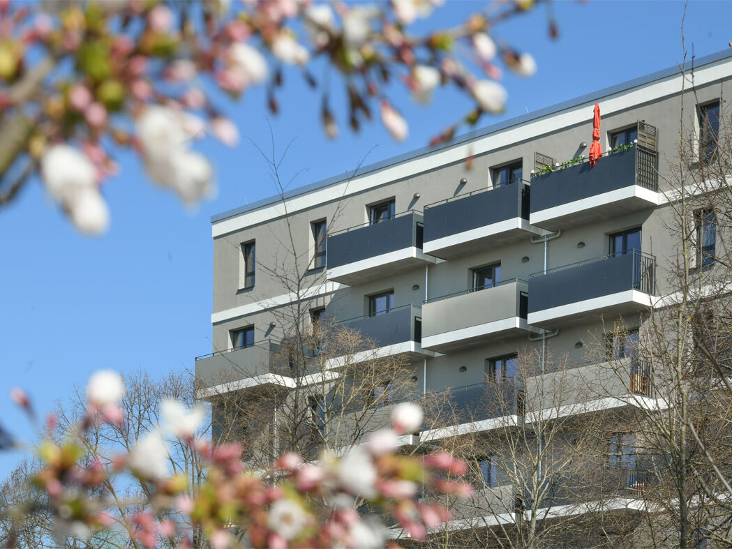Außenansicht degewo-Neubau Mehrower Allee 28 und 30 mit blühenden Zweigen im Vordergrund.