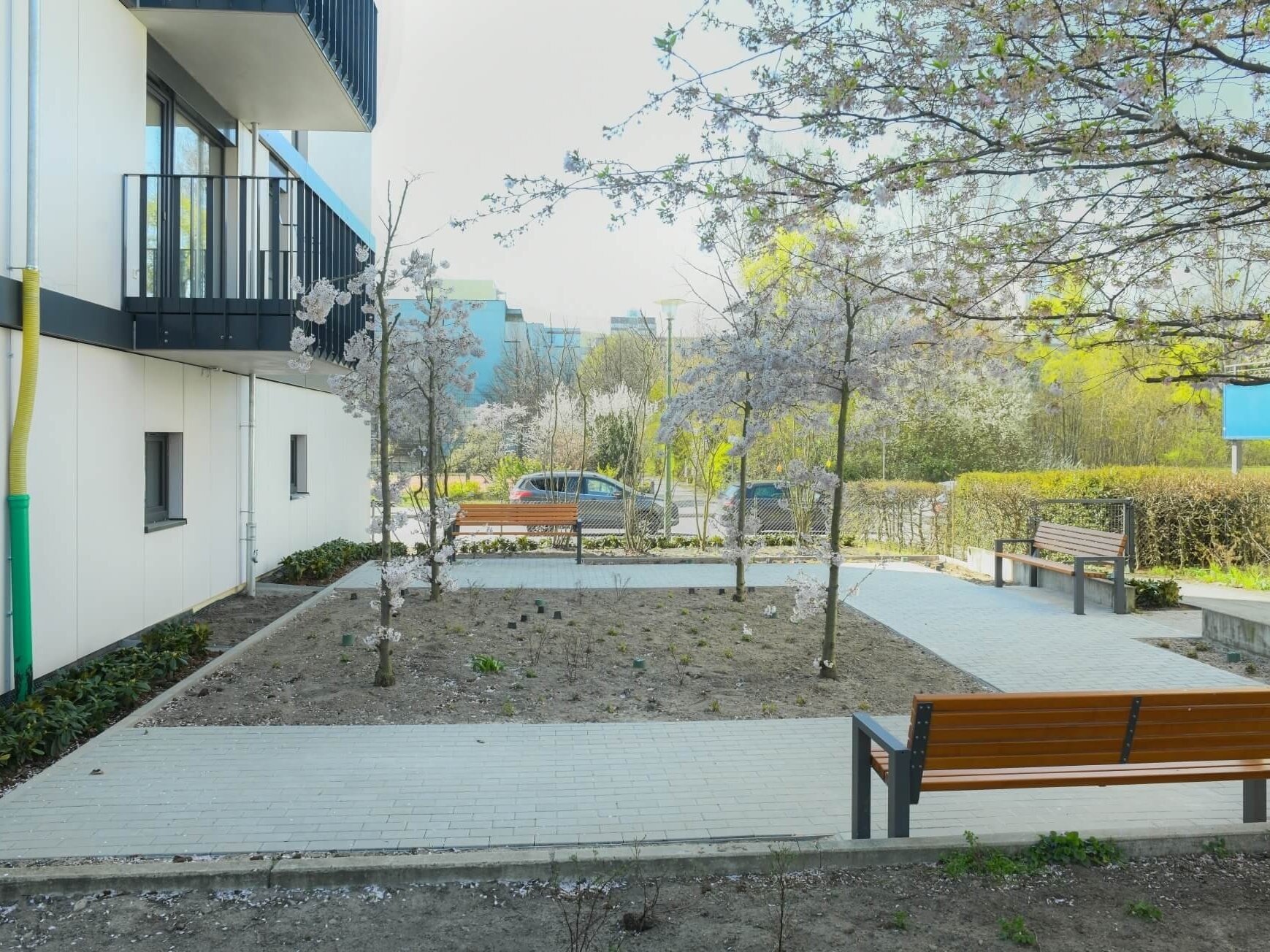 Außenansicht degewo-Neubau Ludwig-Renn-Straße 56 bis 64: Rückseite mit neu gepflanzten Bäumen, Wegen und Sitzbänken.