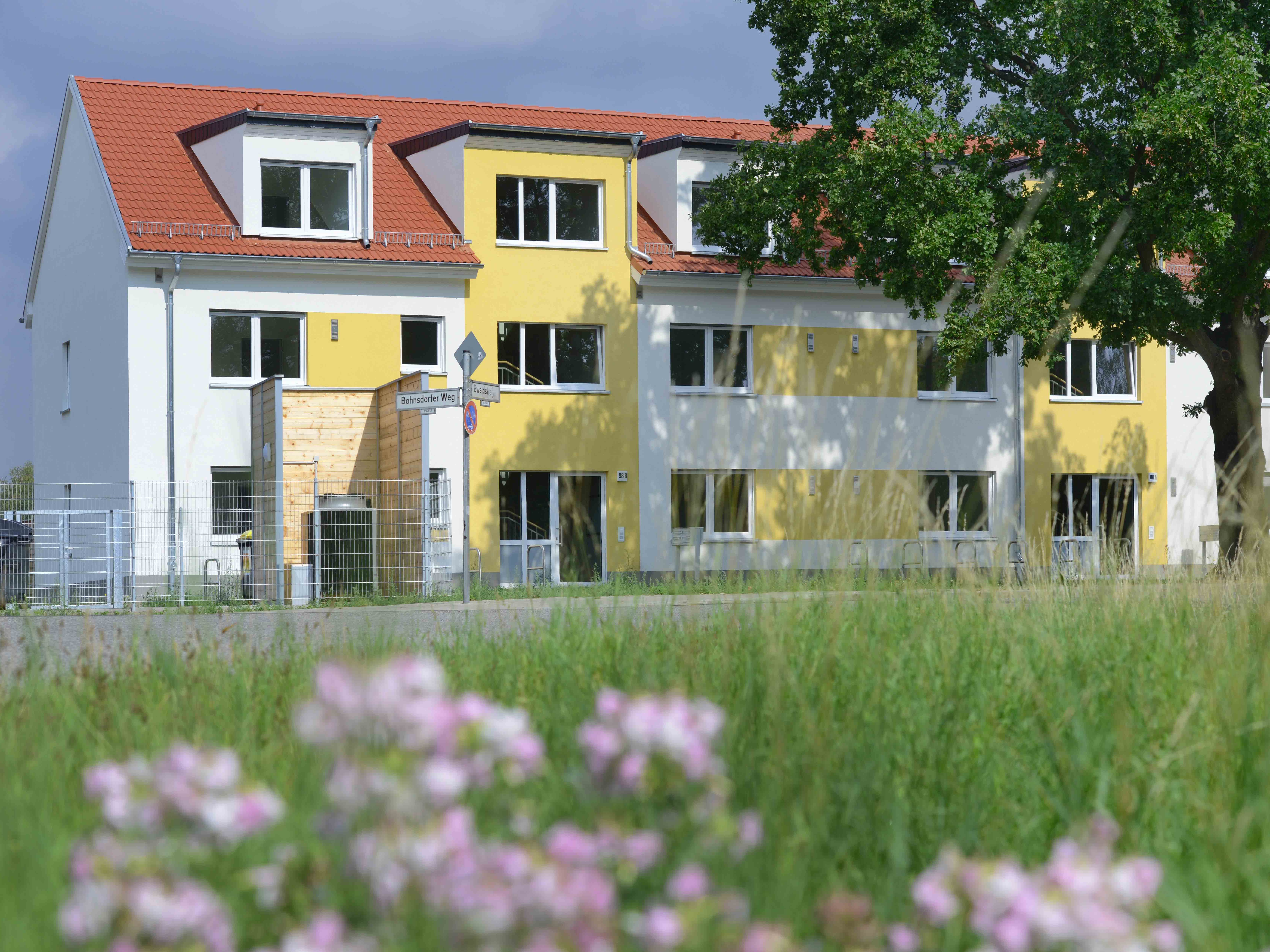 Straßenansicht degewo-Neubau Ewaldstrasse 96 A bis 98 B mit Wiese und Blüten im Vordergrund.