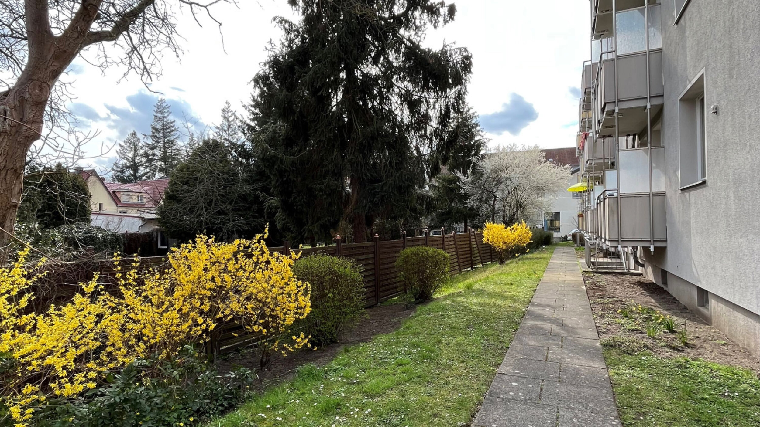 Blick entlang eines gepflegten Grünstreifens am Mühlweg in Berlin mit Fußweg, Rasenflächen und gelb blühenden Sträuchern im Vordergrund. Rechts stehen mehrgeschossige Wohngebäude mit Balkonen, links begrenzen Bäume und ein Holzzaun das Grundstück. Die ruhige Wohnlage bildet den Rahmen für das geplante Neubauvorhaben.