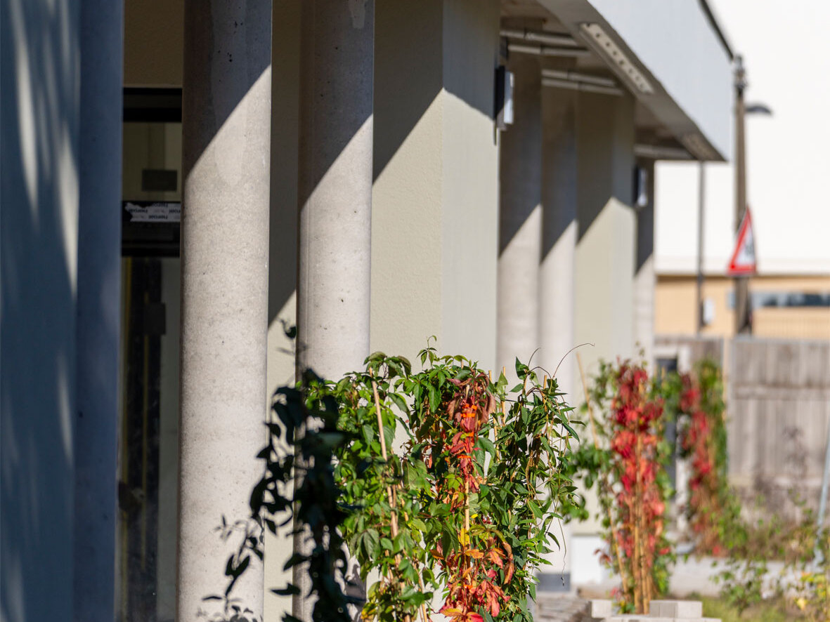 Säulen mit Rankenbewuchs Klimahaus degewo Neubau Salvador-Allende-Straße