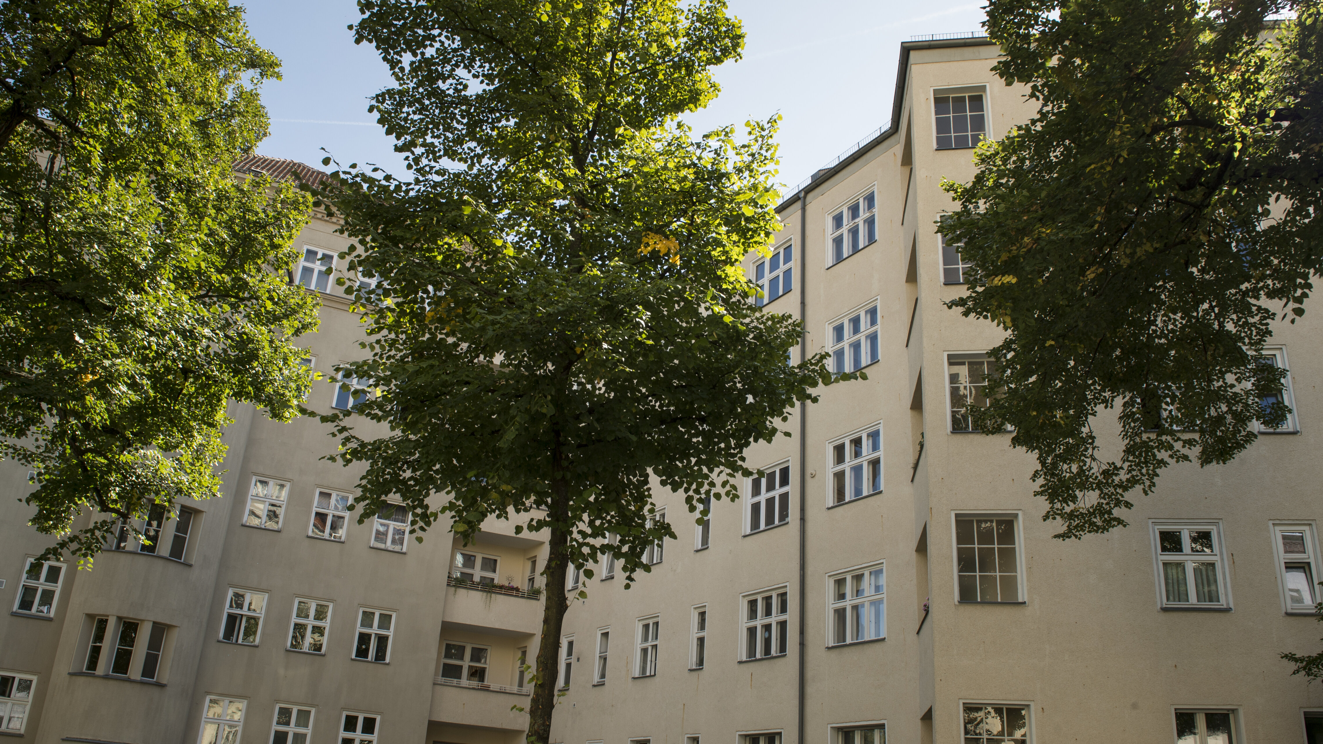 Wohngebäude mit Innenhof und großen Bäumen.