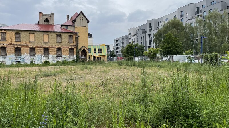 Altbau in der Glasbläseralle neben Neubaubauten, davor eine große Wiese