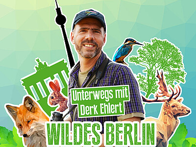 Ein Poster: Unterwegs mit Derk Ehlert. Wildes Berlin