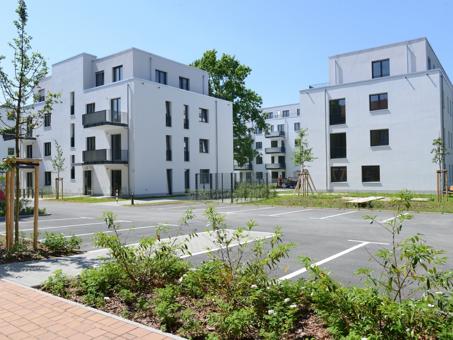 Hofansicht degewo-Neubau Klutstraße 22c mit neu gepflanztem Baum, Weg, Beeten und Parkplätzen im Vordergrund.