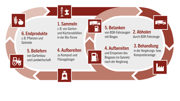 Bild zeit BioGut-Entsorgungsprozess: Sammeln, Abholen, Behandlung, Aufbereiten, Betanken oder Beliefern und Endprodukte.
