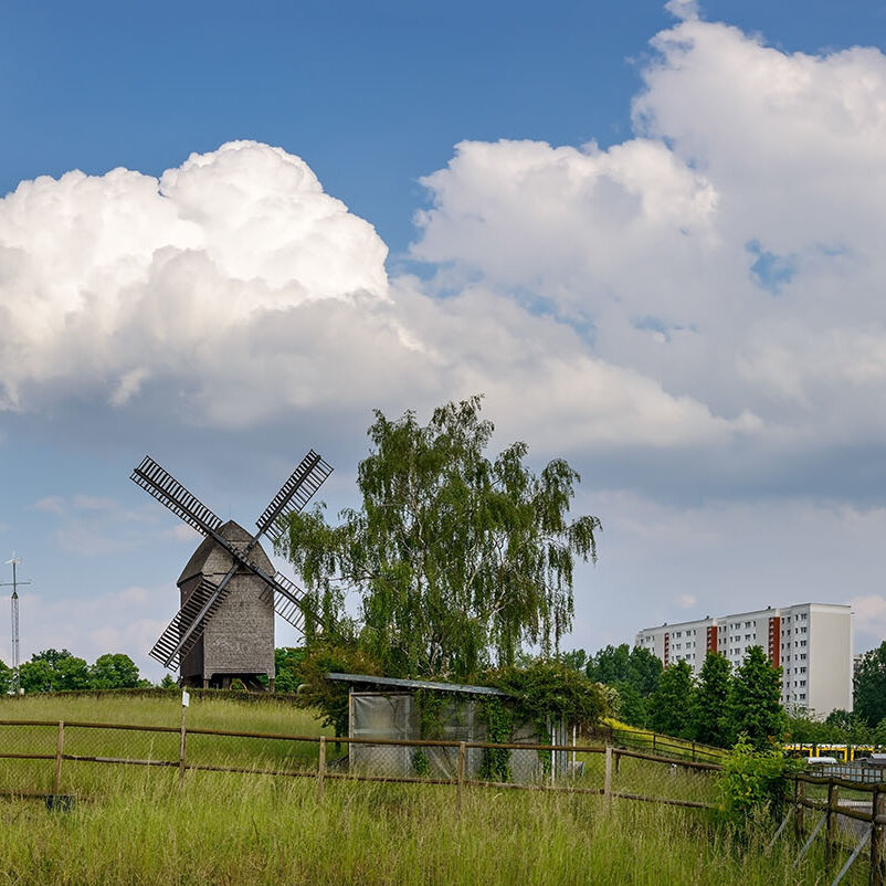 Historische Bockwindmühle auf einer Wiese in Berlin-Marzahn mit Wohnhäusern im Hintergrund.