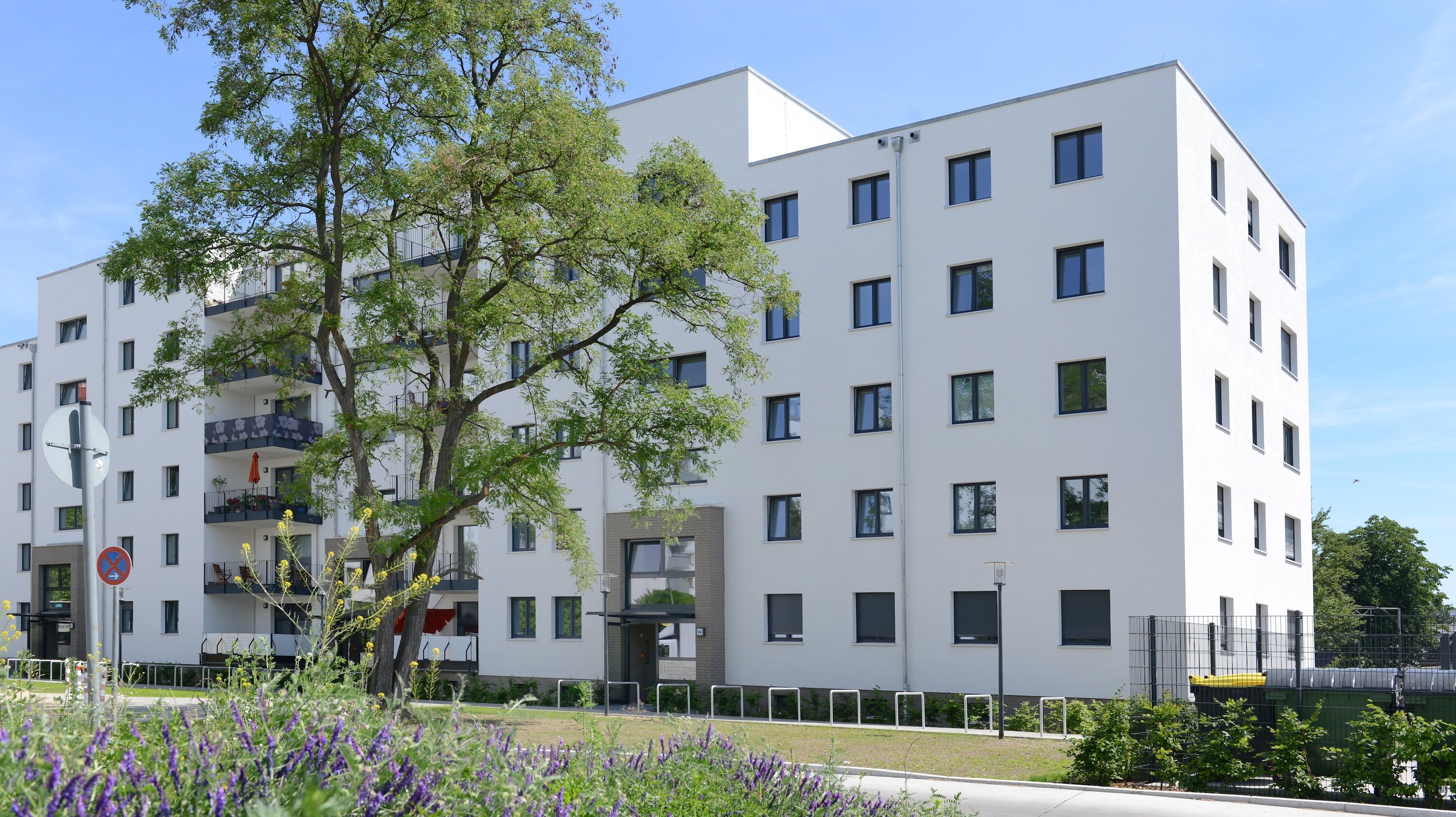 Außenansicht degewo-Neubau Waldsassener Straße 51 mit blühenden Wildpflanzen und rechts Straße im Vordergrund.