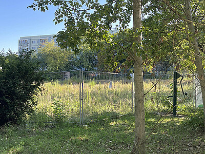 Grundstück in der Wuhlestraße, dass für den Neubau vorgesehen ist. Es ist ein Bauzaun auf einer Wiese zu sehen, dahinter ein Gebäude.