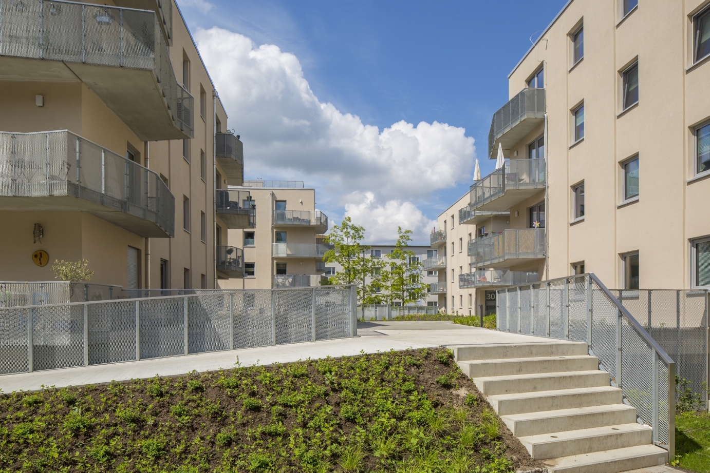Ansicht degewo Neubau Karl-Pokern-Straße