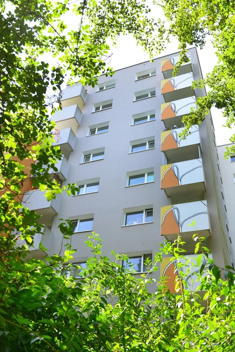 تصویر 1 Zimmer Erdgeschoss Wohnung in Lichtenrade