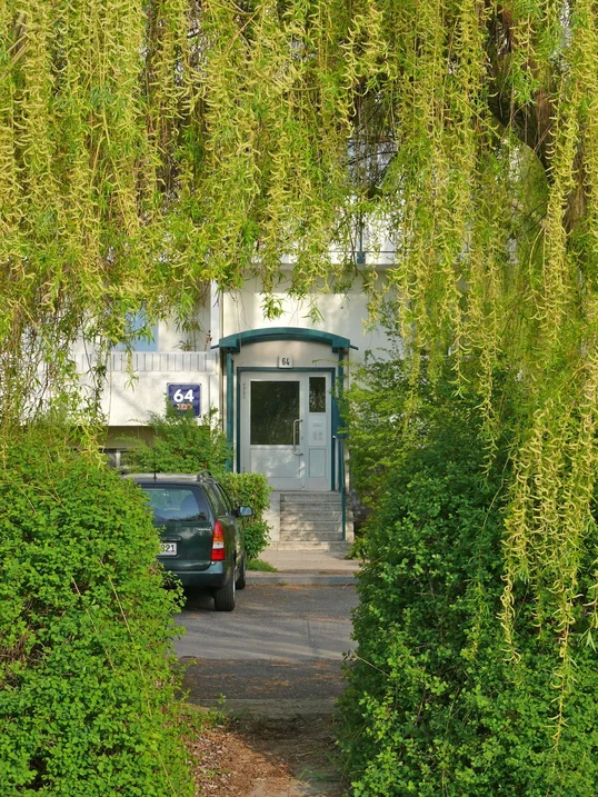 تصویر Kleine Familie gesucht!