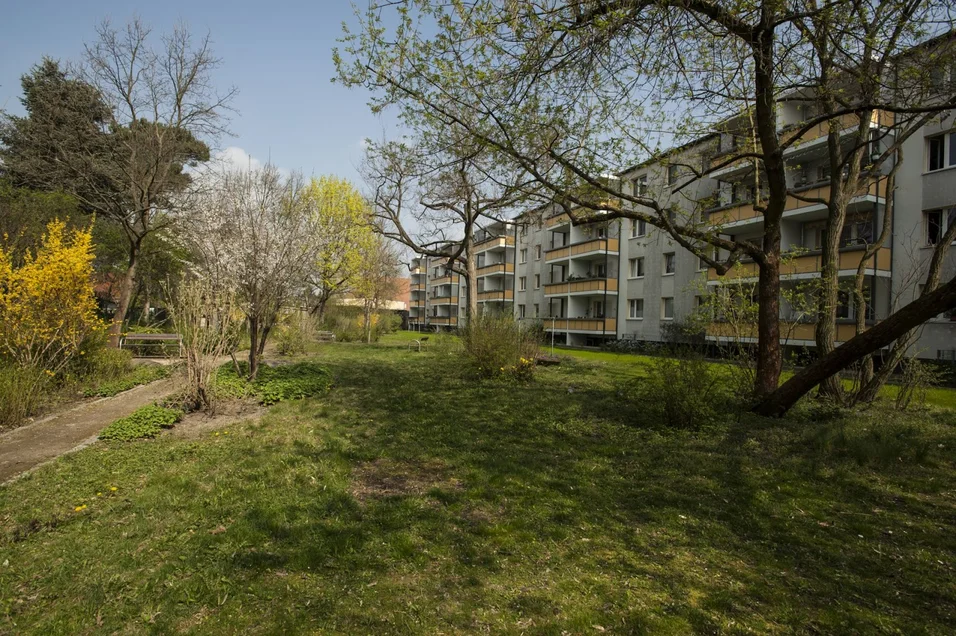 تصویر Kompakt & gemütlich - 2-Zimmer-Wohnung in Köpenick-Nord