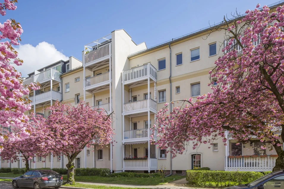 تصویر Singlewohnung Nähe Tierpark sucht Nachmieter!