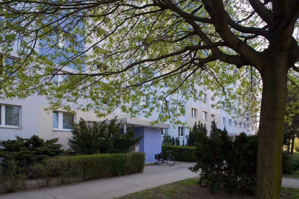 تصویر Schöne 2-Raum-Wohnung in ruhiger Lage · Martha-Arendsee-Straße 14, 12681 Berlin