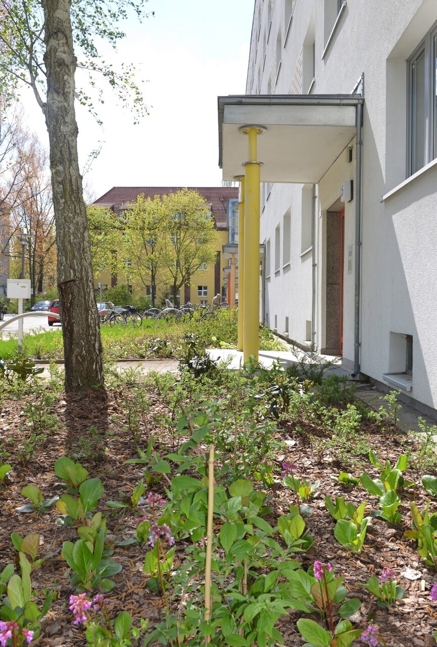 تصویر Nachmieter sucht Nachmieter - Laminat und Küche können übernommen werden!