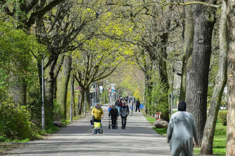 تصویر 2 Zimmer in Gropiusstadt · Fritz-Erler-Allee 116, 12351 Berlin